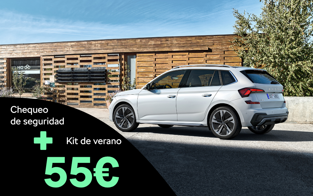 Chequeo de seguridad +  Kit de verano por 55€