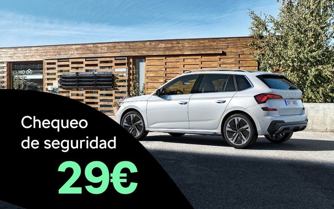 Chequeo de seguridad por 29€