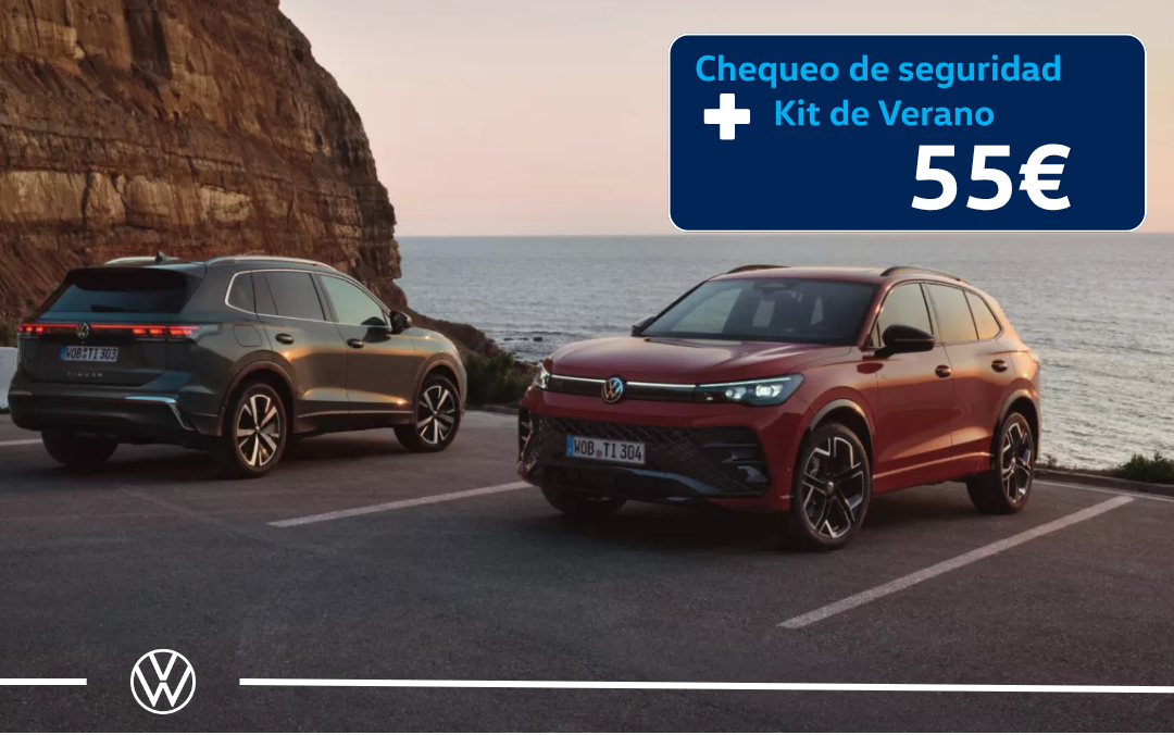 Chequeo de seguridad +  Kit de verano por 55€
