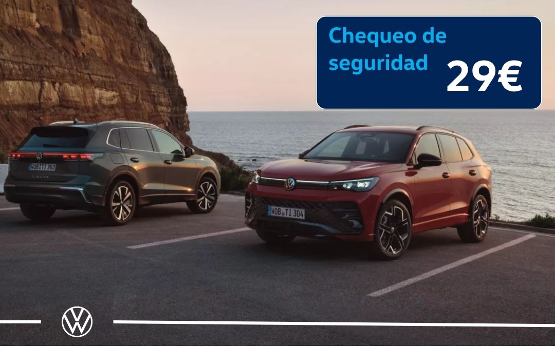 Chequeo de seguridad por 29€