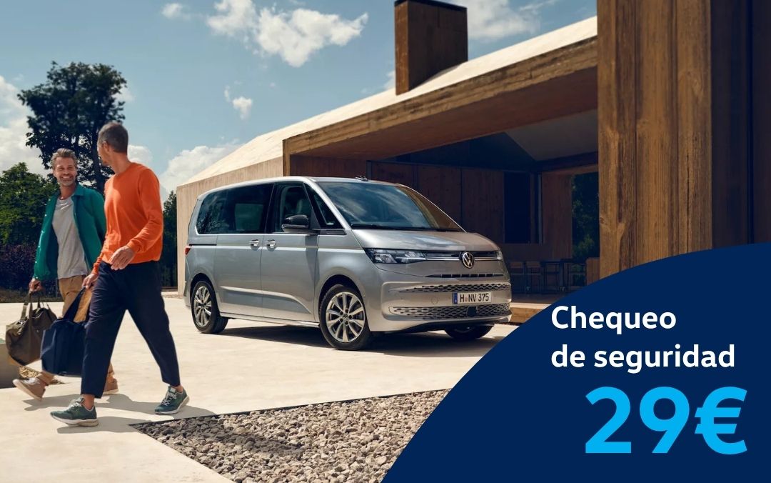 Chequeo de seguridad por 29€